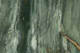 Gary Green Jasper (Larsonite) Bog Wood Slab - Oregon #263360-1